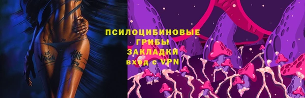 спиды Зеленокумск