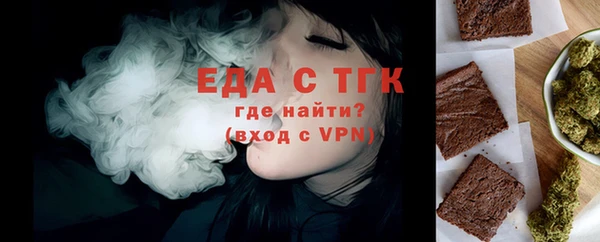 соль ск Инсар