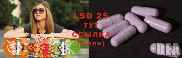 спиды Зеленокумск