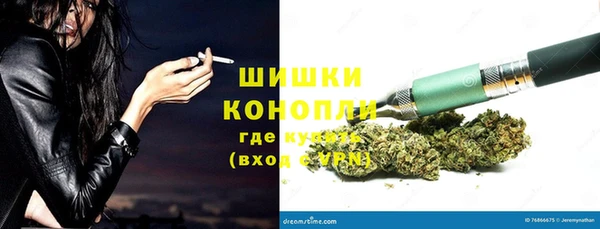 спиды Зеленокумск