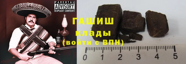 соль ск Инсар
