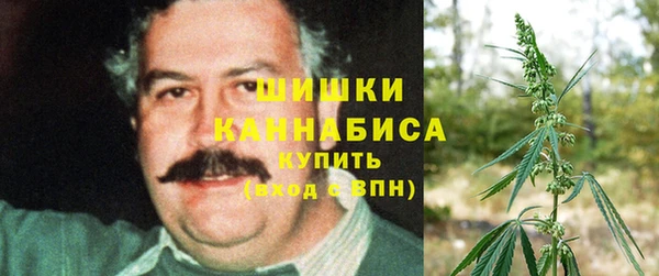 спиды Зеленокумск