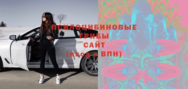 спиды Зеленокумск