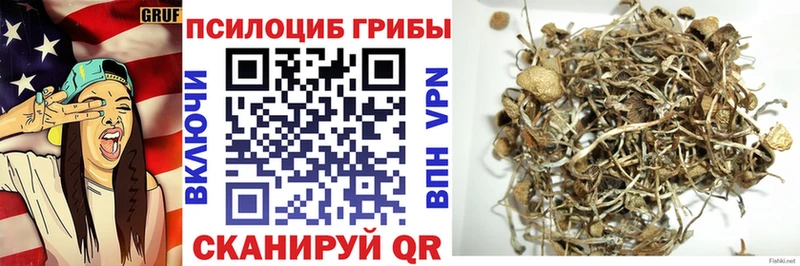 Псилоцибиновые грибы мухоморы Купить Заозёрный